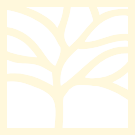 art deco small square tree outline icon